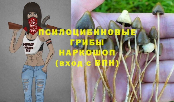 гашиш Карабаново